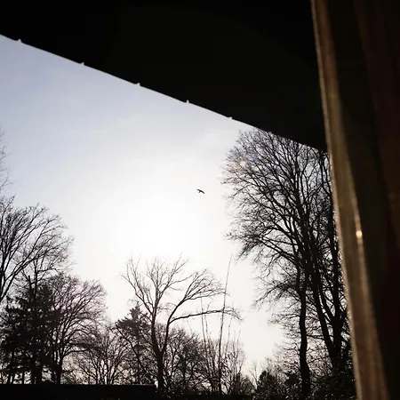 Knus Gezinsverblijf In Cosi Tiny House Op De Veluwe * Epe