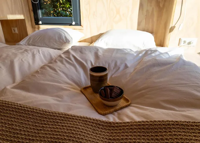 Knus Gezinsverblijf In Cosi Tiny House Op De Veluwe Epe