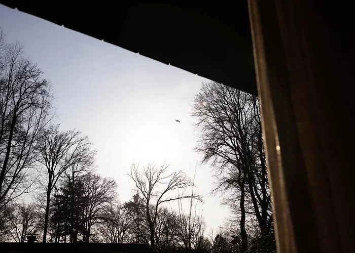 Knus Gezinsverblijf In Cosi Tiny House Op De Veluwe * Epe