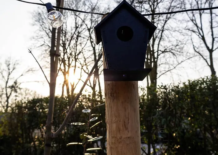 Knus Gezinsverblijf In Cosi Tiny House Op De Veluwe Ferienhaus